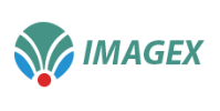 Imagex Technologies India Pvt. Ltd