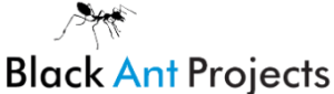Black Ant Projects