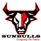Sunbulls Future Energies Pvt. Ltd.