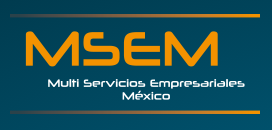 MSEM Multi Servicios Empresiales México SAS