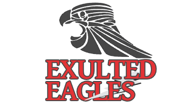 Exulted Eagles Nigeria Limited