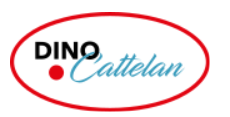 Dino Cattelan