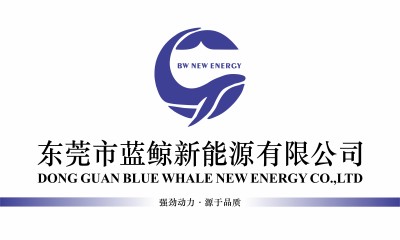 Dongguan Blue Whale New Energy Co.,Ltd