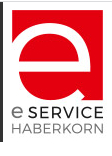 E-Service Haberkorn GmbH