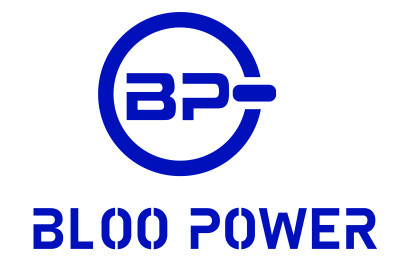 Zhengde Hanyuan Shenzhen Technology Co., Ltd. (Bloopower)