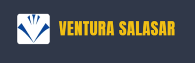 Ventura Salasar Energy Industries Limited