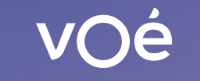 VOé Holding SA