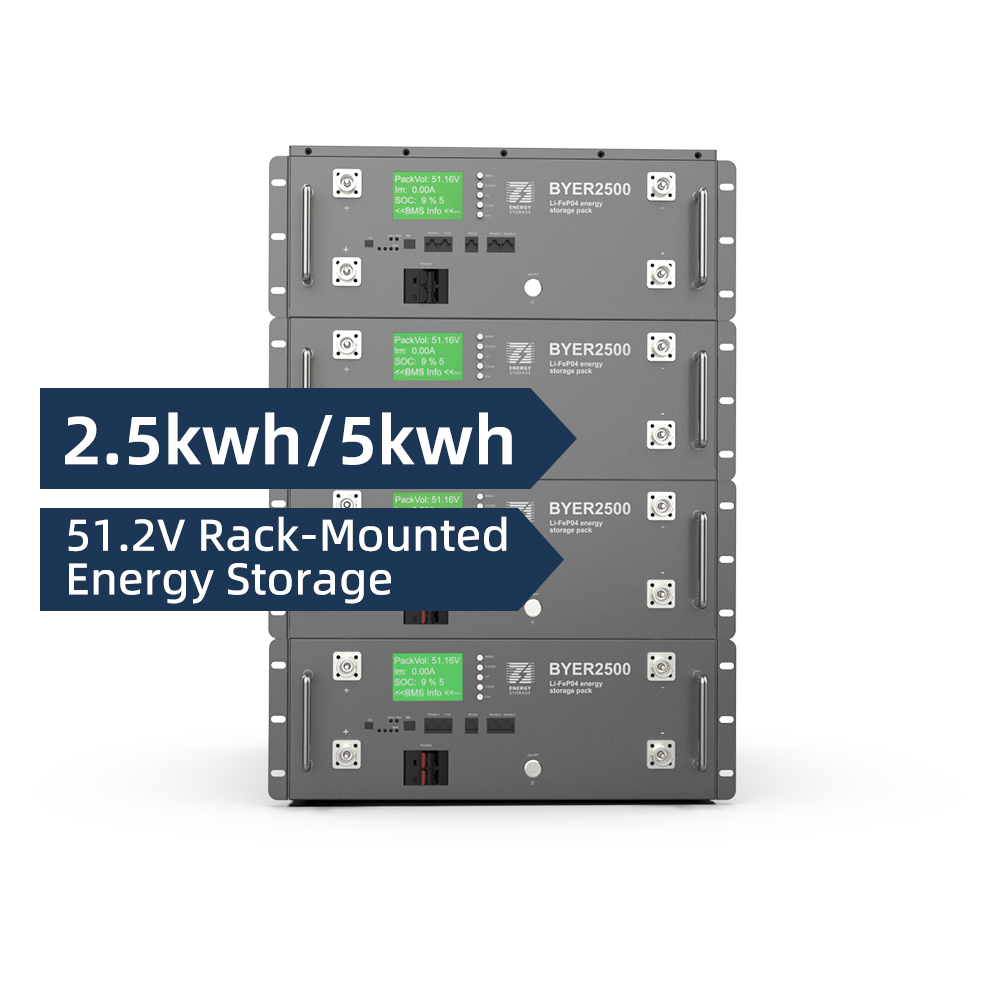 BENY 5kwh/ 2.5kwh Rack-mounted Energy Storage