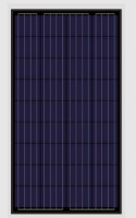 RS36P Series 155-175W