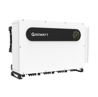 MAX 225KTL3-X HV (CN)