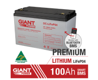 100AH 12V Lithium Battery