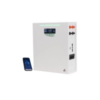 51.2V 100Ah 5Kwh Wall Mounted Residential ESS