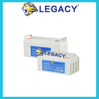 LGD6/420 Traction Battery