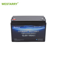 12V LiFePO4 Battery