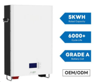 51.2V 100Ah Wall Mounted ESS