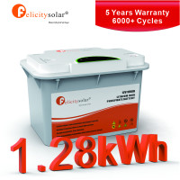 LiFePo4 Battery Pack Low-voltage FLA Series