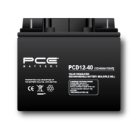 PCD12-100