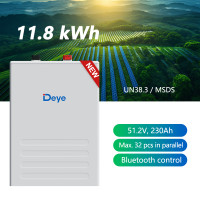 Deye ESS SE-F12 Low Voltage Storage Battery