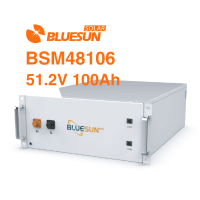 High Voltage Battery Module BSM48106H
