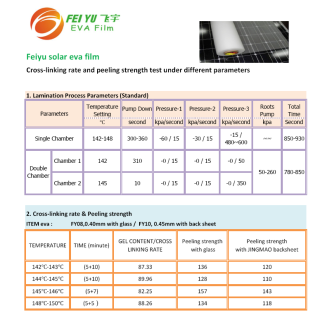 FY08/FY10 EVA Sheet