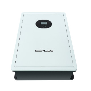 Seplos 51.2V 200Ah Li-Ion Battery Pack
