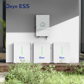 Deye ESS RW-F10.6 Low Voltage Storage Battery