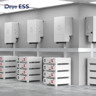 Deye ESS SE-G5.1 Pro-B Low Voltage Storage Battery