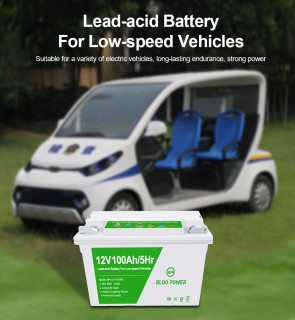 12V 100Ah/5Hr Lead-acid Battery For Low-speed Vehicles