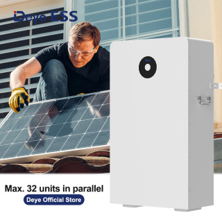 Deye ESS RW-F16 Low Voltage Storage Battery
