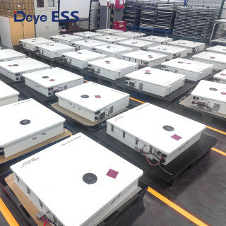 Deye ESS RW-F16 Low Voltage Storage Battery
