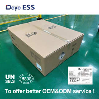 Deye ESS RW-G10.6 Low Voltage Storage Battery