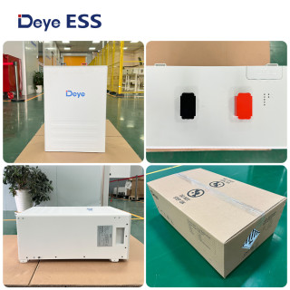Deye ESS SE-F12 Low Voltage Storage Battery