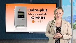 Cedro+ ICC-4024150+